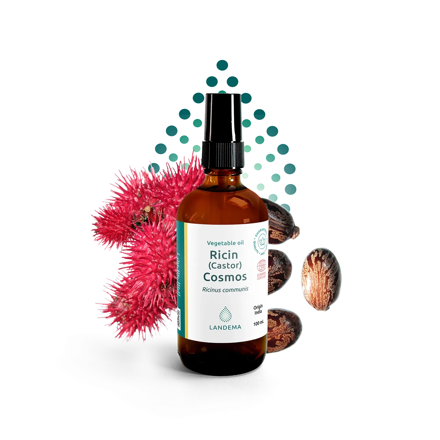 Ricin (Castor) Organic COSMOS