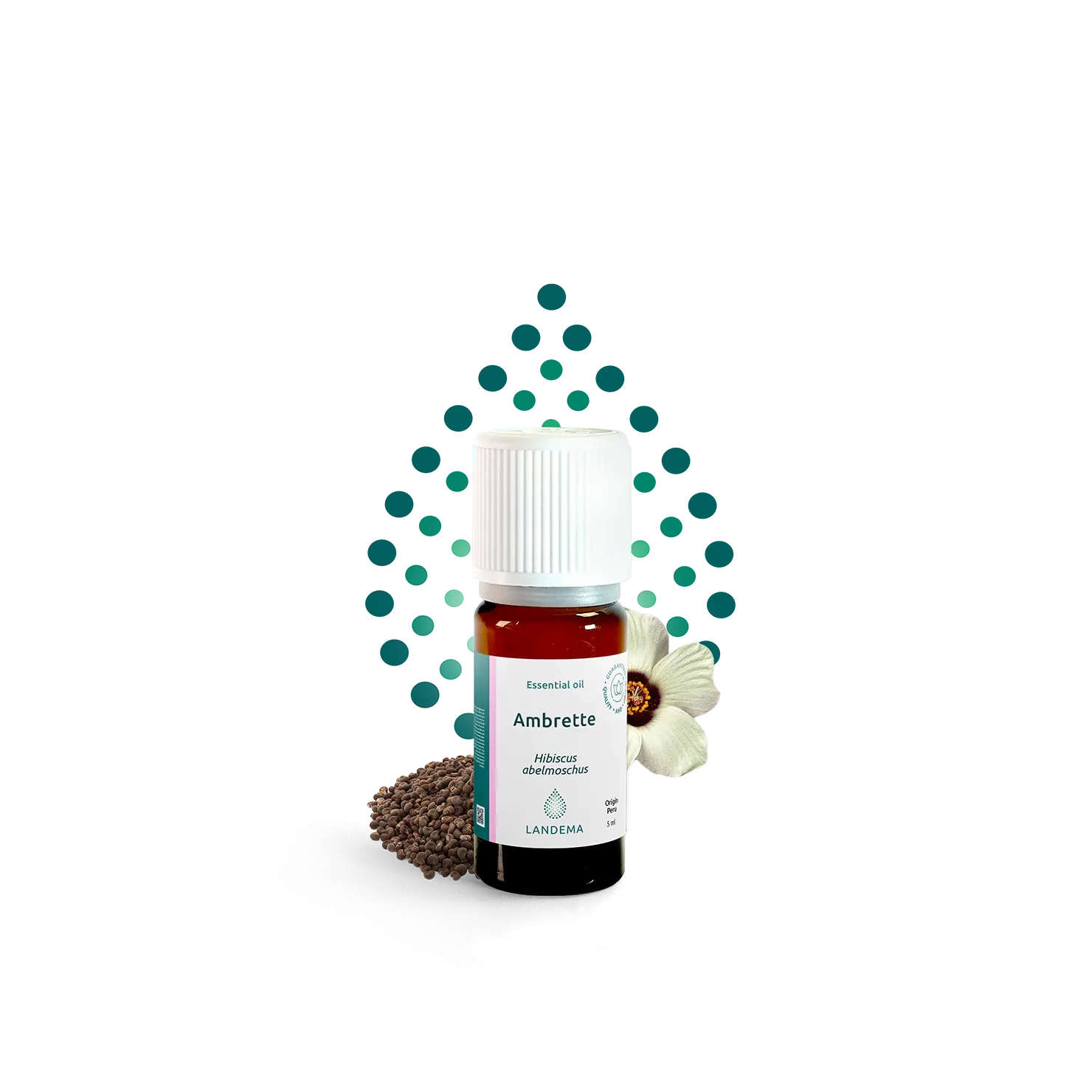 White mugwort (Armoise)