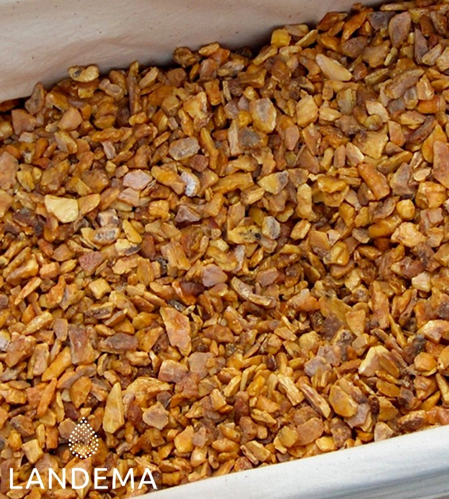 Benjoin Siam résinoïde pur