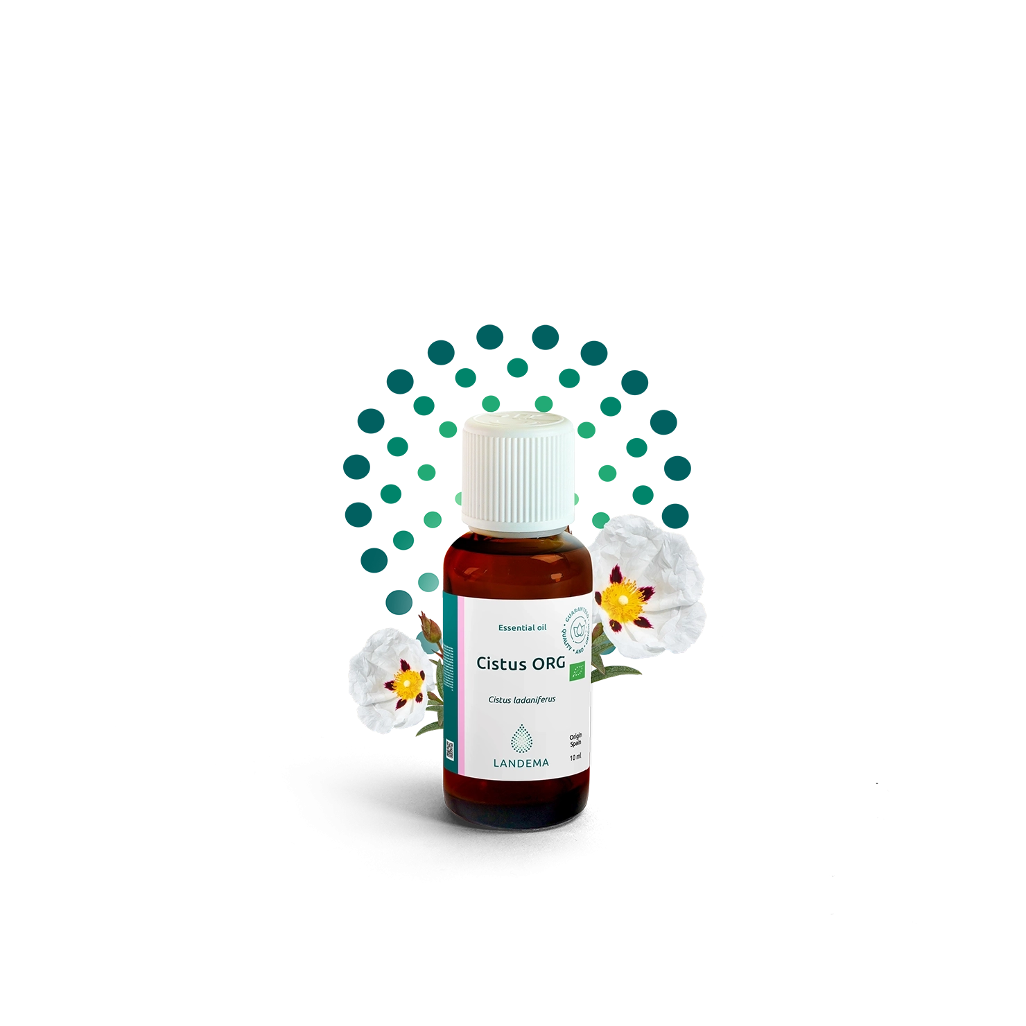 Cistus ORG