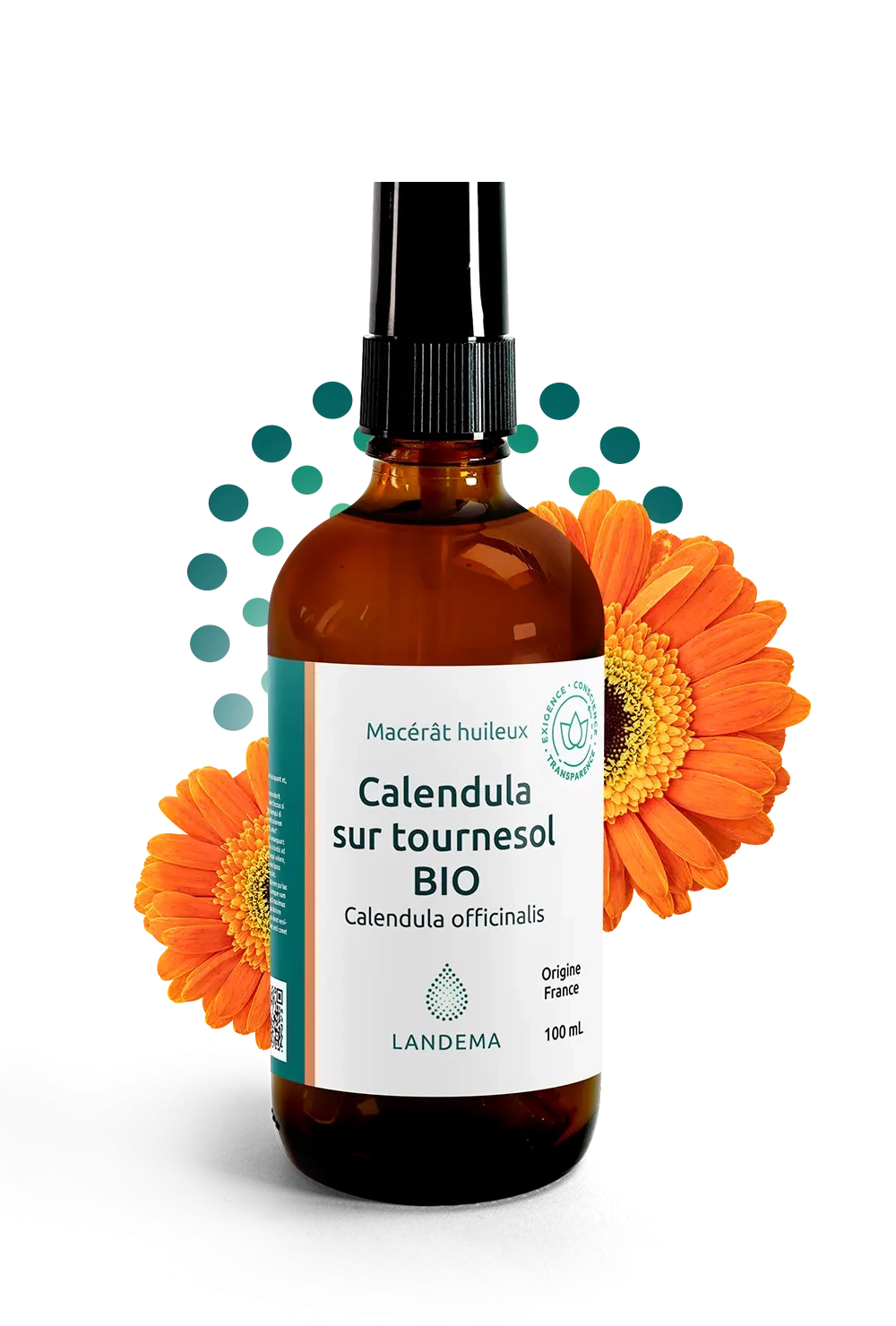 Calendula sur tournesol BIO