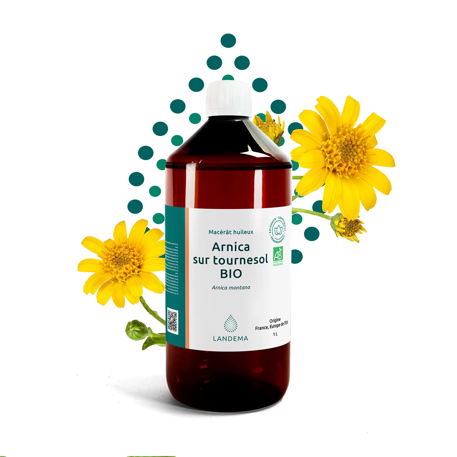 Arnica sur tournesol BIO