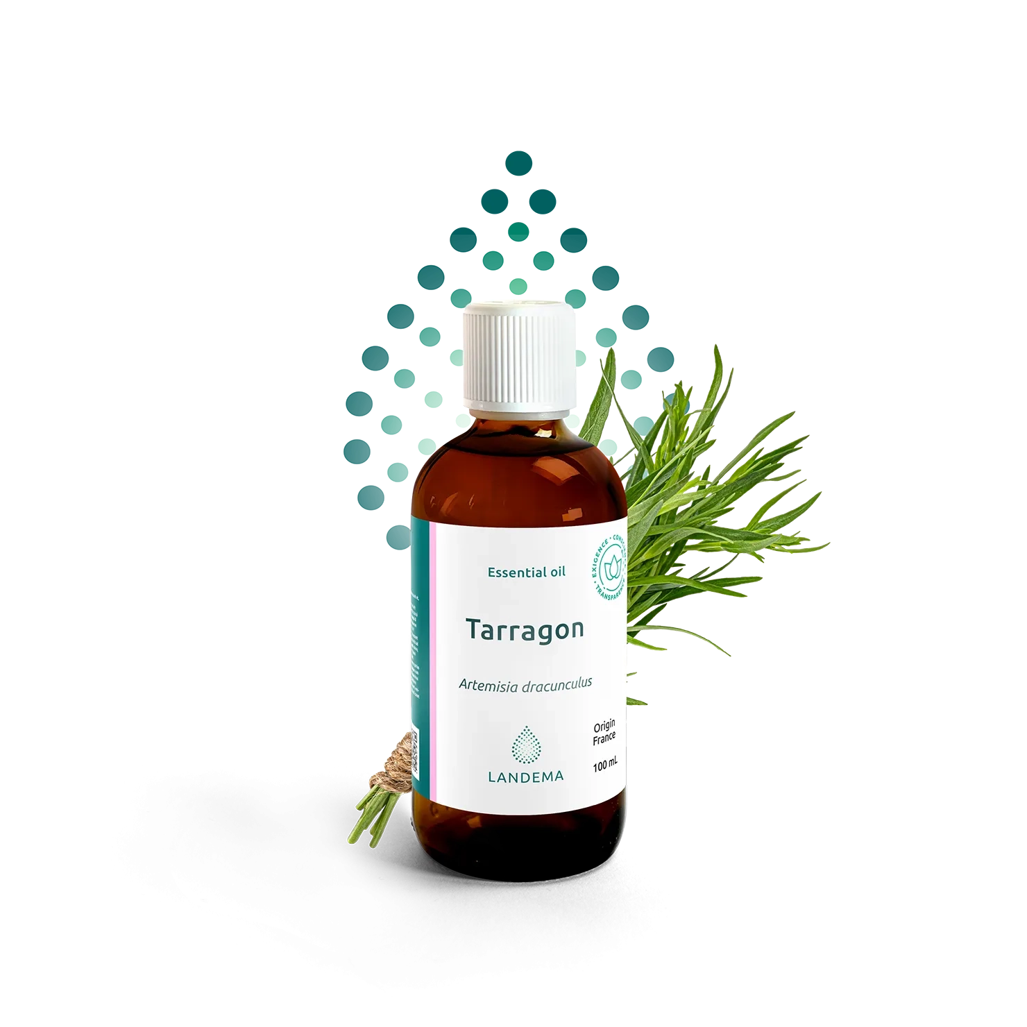 Tarragon