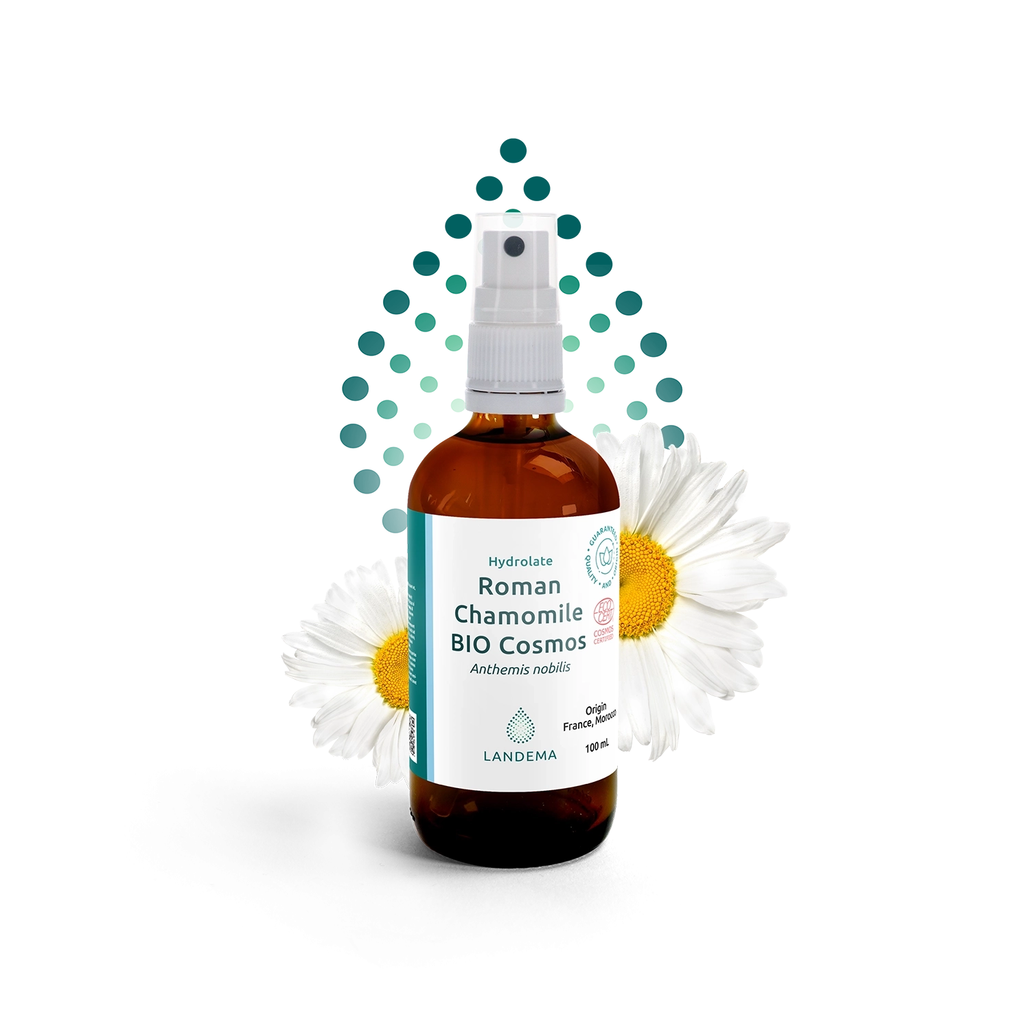 Roman Chamomile organic COSMOS