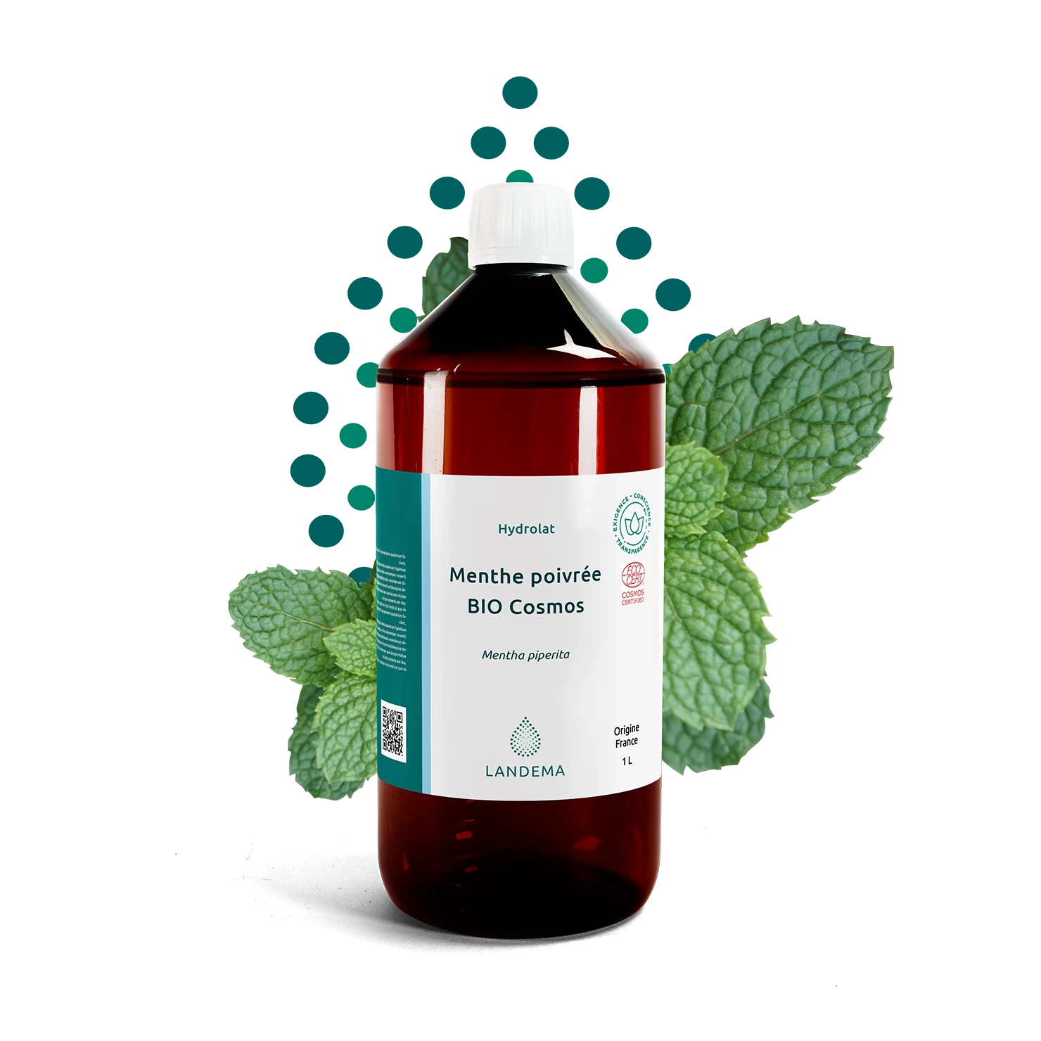 Menthe poivrée Eau Bio COS