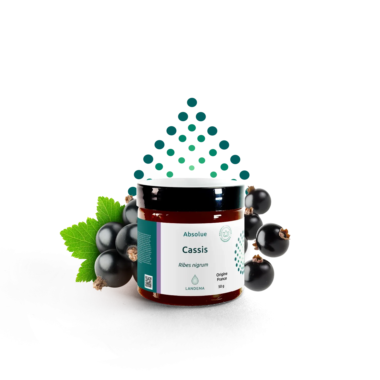 Cassis