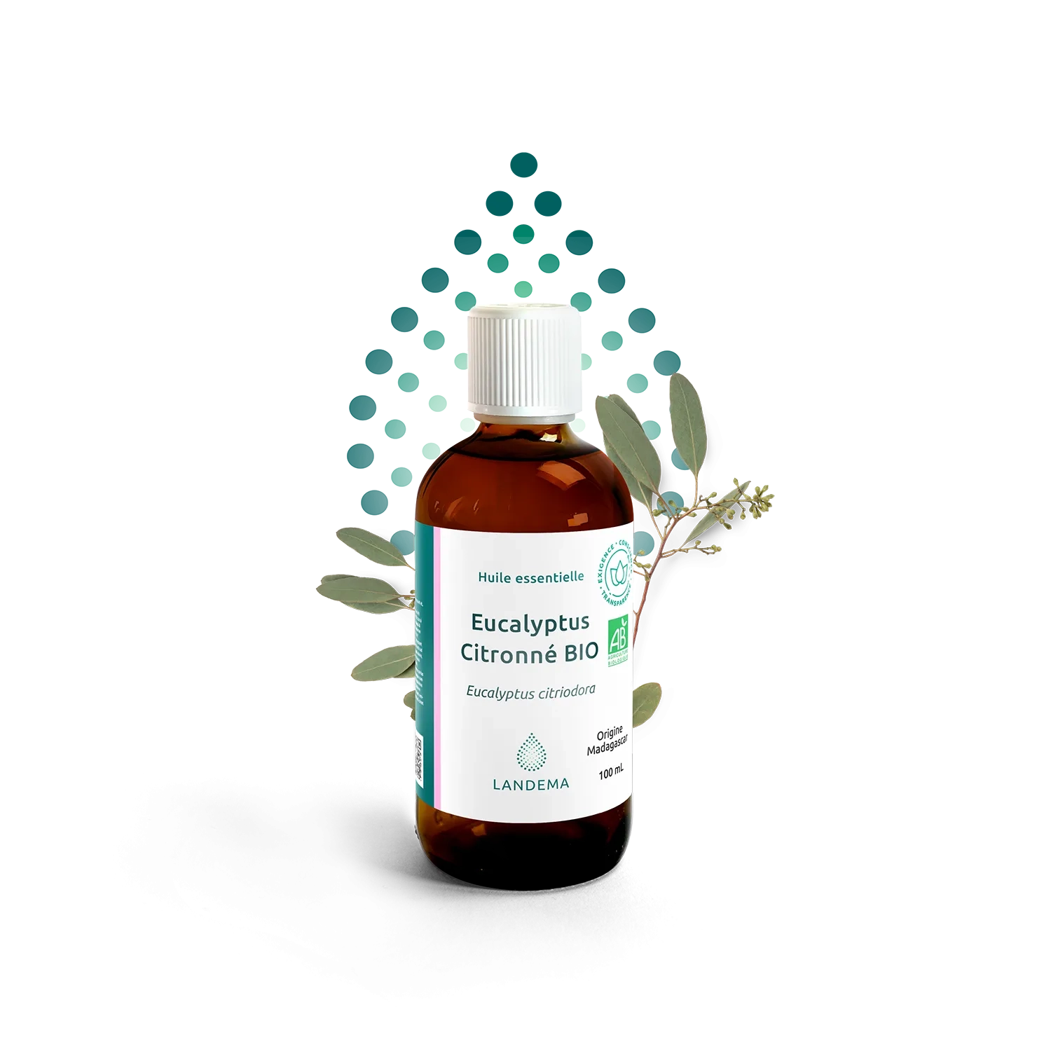 Eucalyptus Citronné BIO