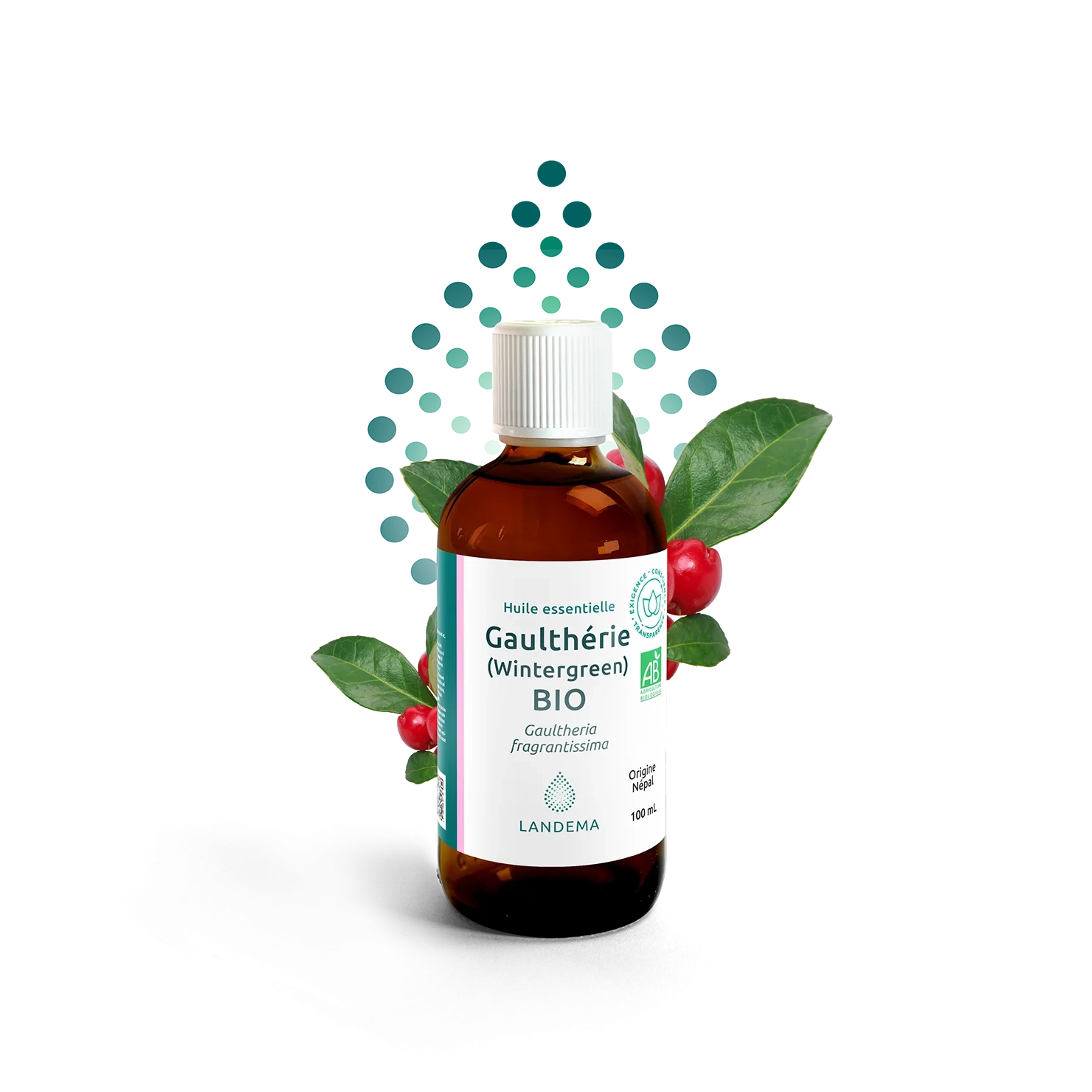 Gaulthérie (Wintergreen) BIO