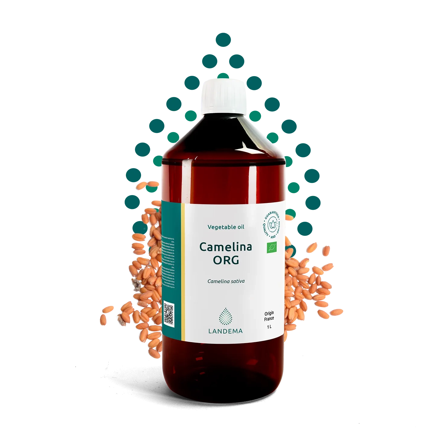 Camelina ORG
