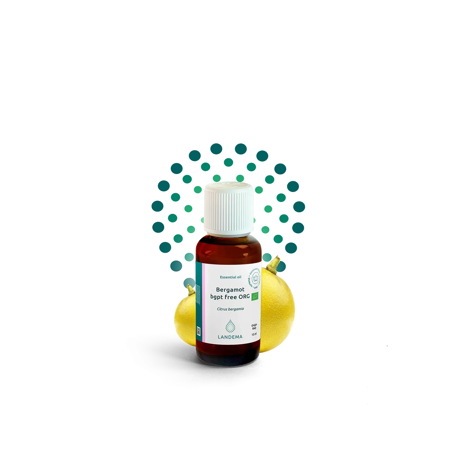 Bergamot bgpt-free ORG