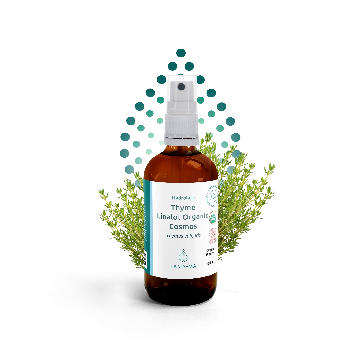 Thyme linalol Organic COSMOS