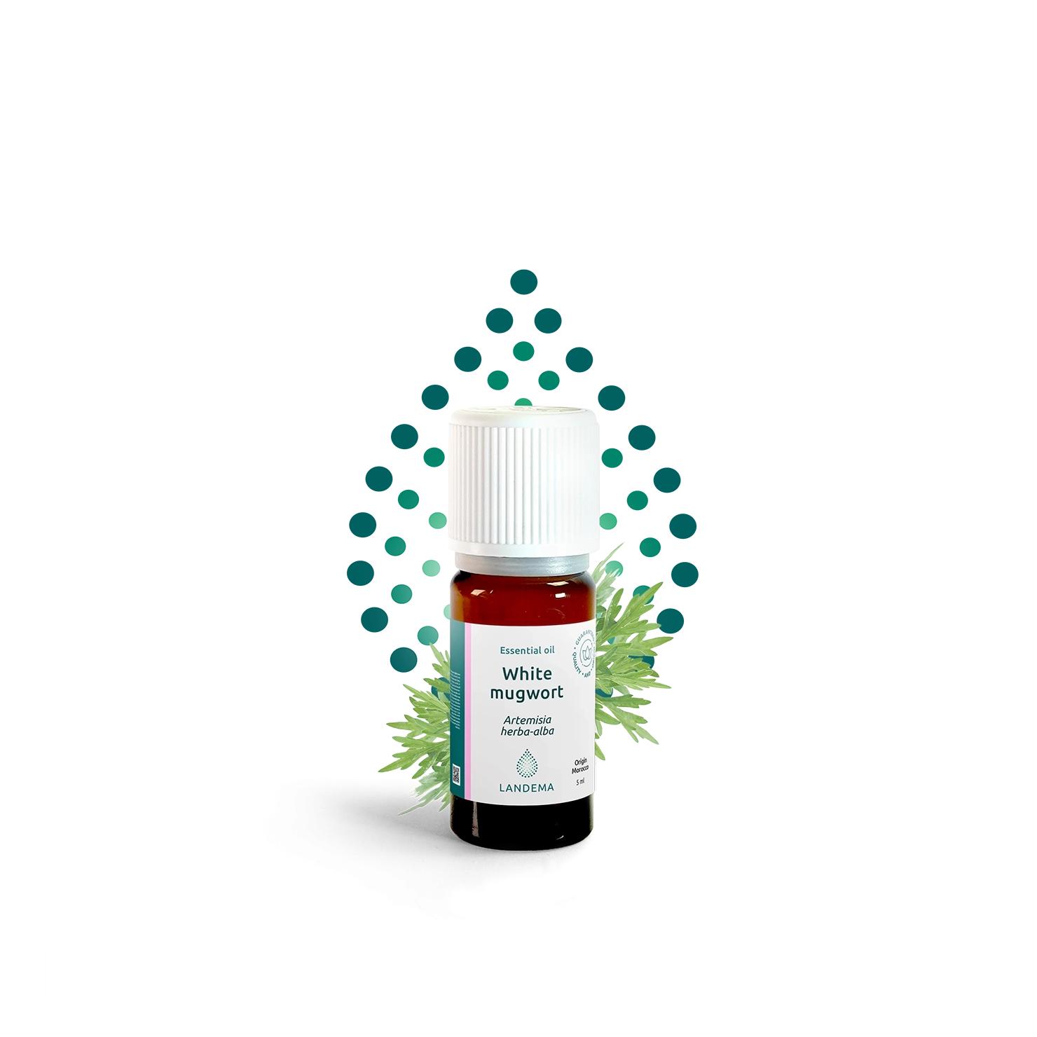 White mugwort (Armoise)