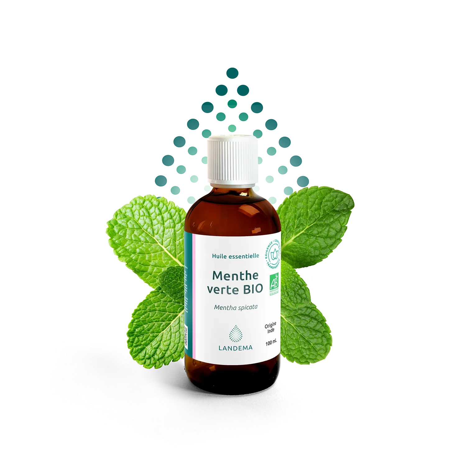 Menthe verte BIO