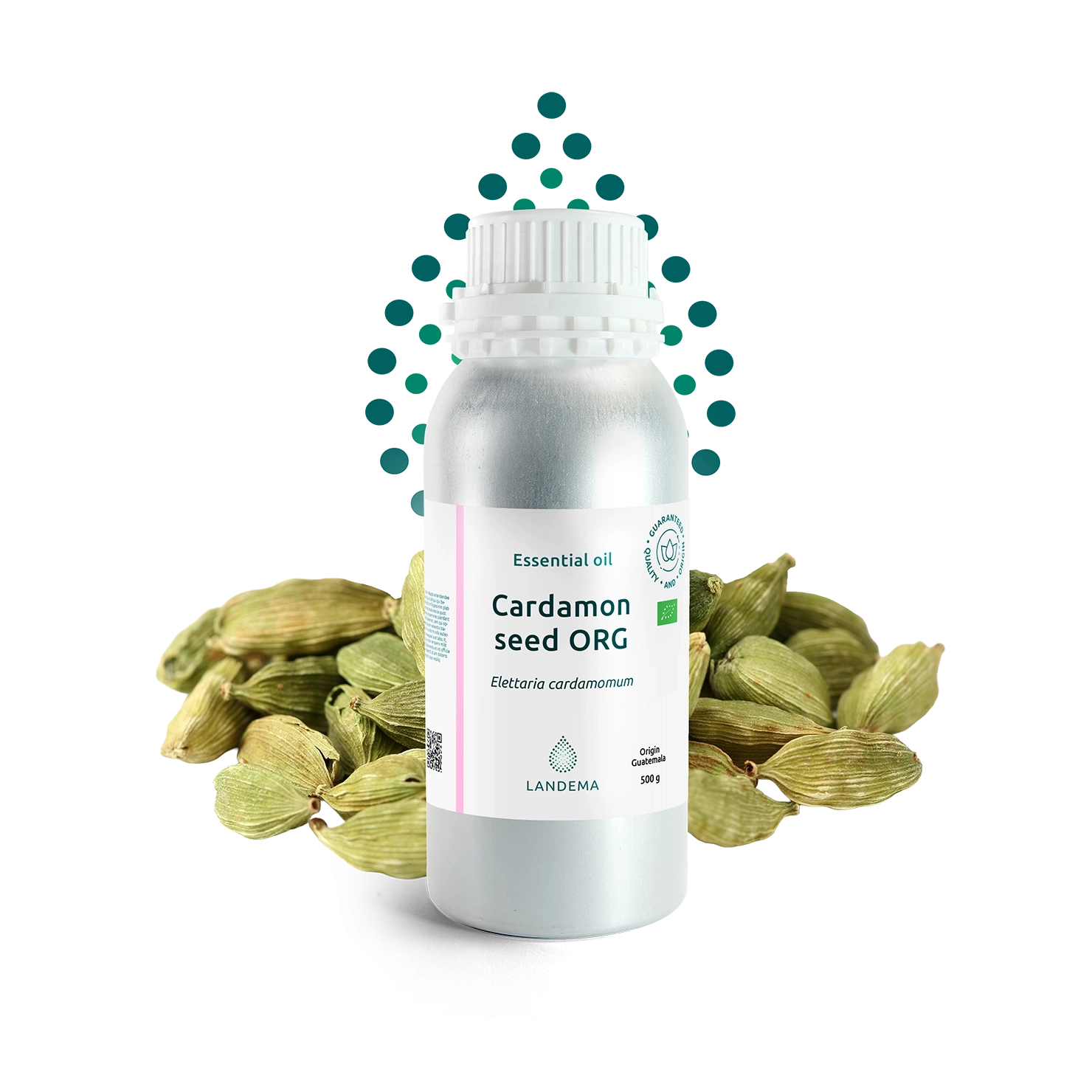 Cardamon Seed