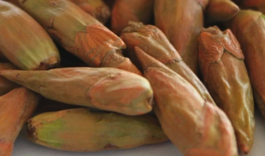 Innovative natural extracts