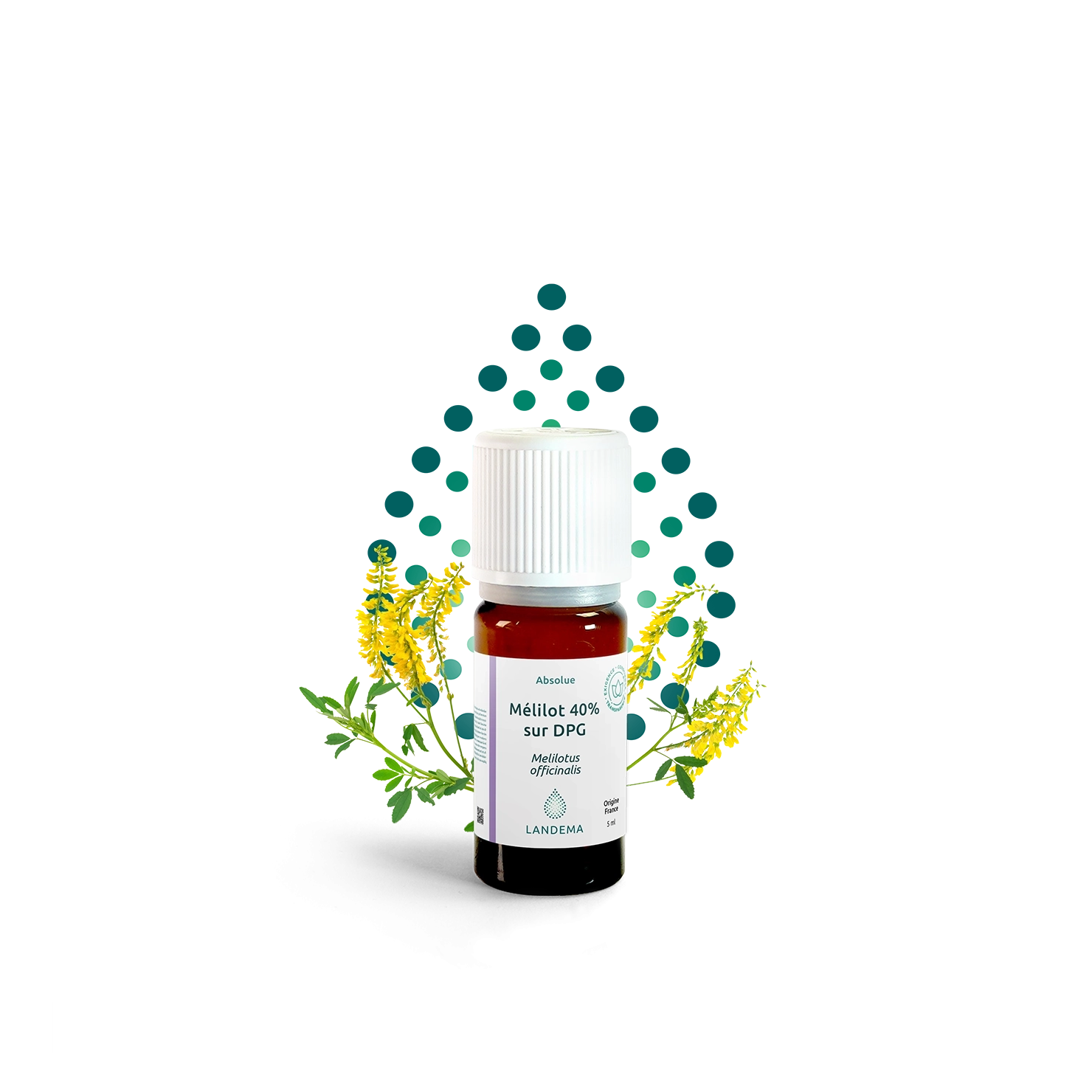 Mélilot 40% sur DPG