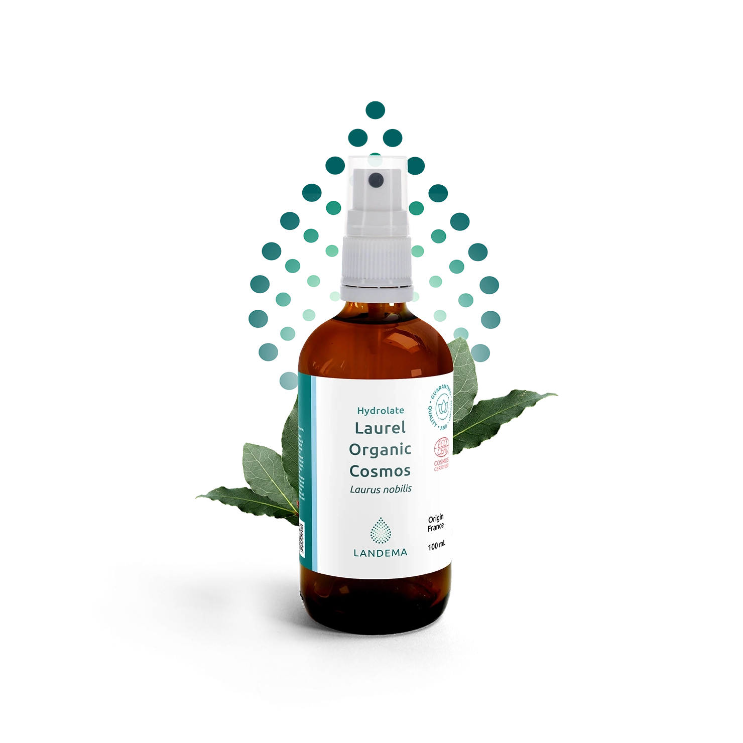 Laurel Organic COSMOS