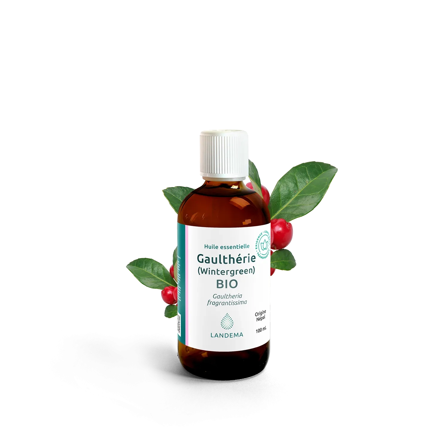 Gaulthérie (Wintergreen) BIO