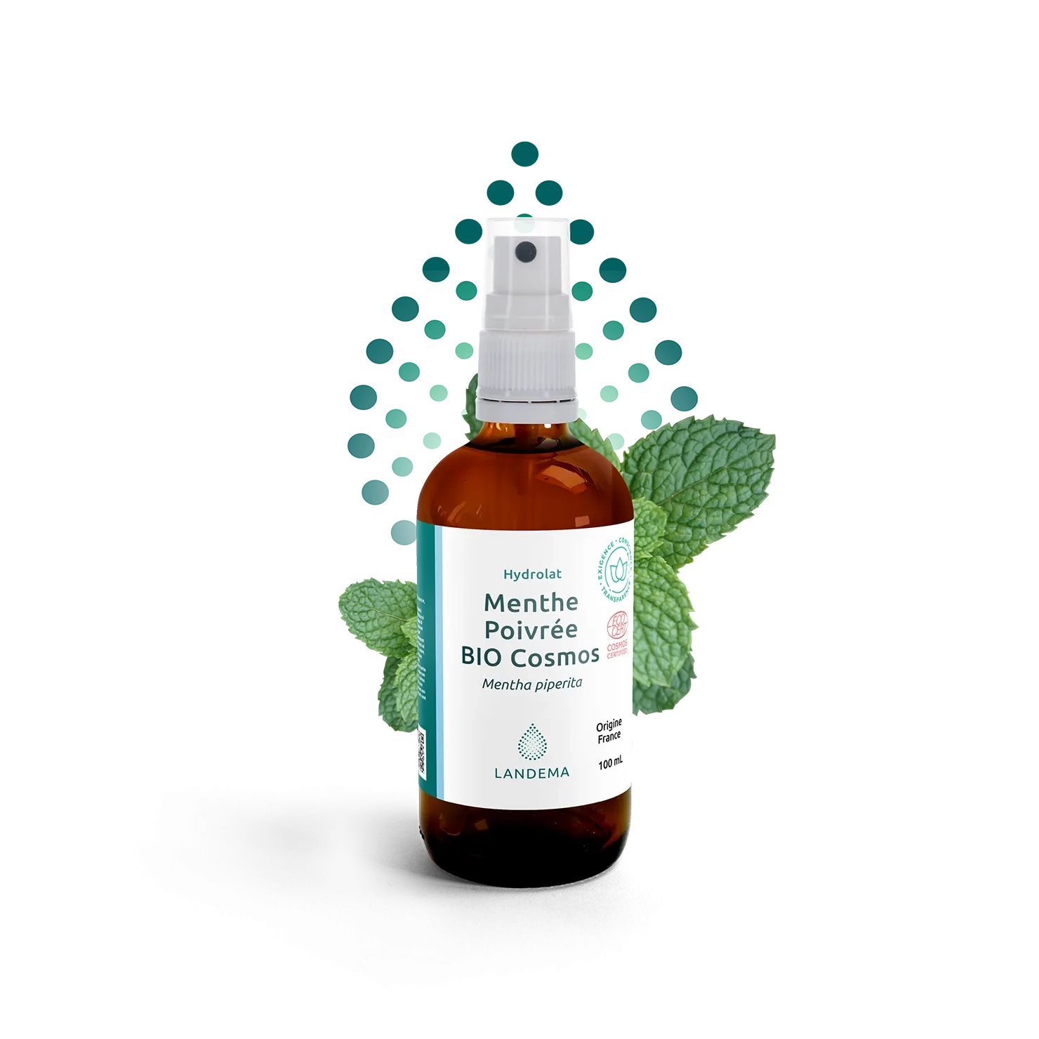 Menthe poivrée Eau Bio COS