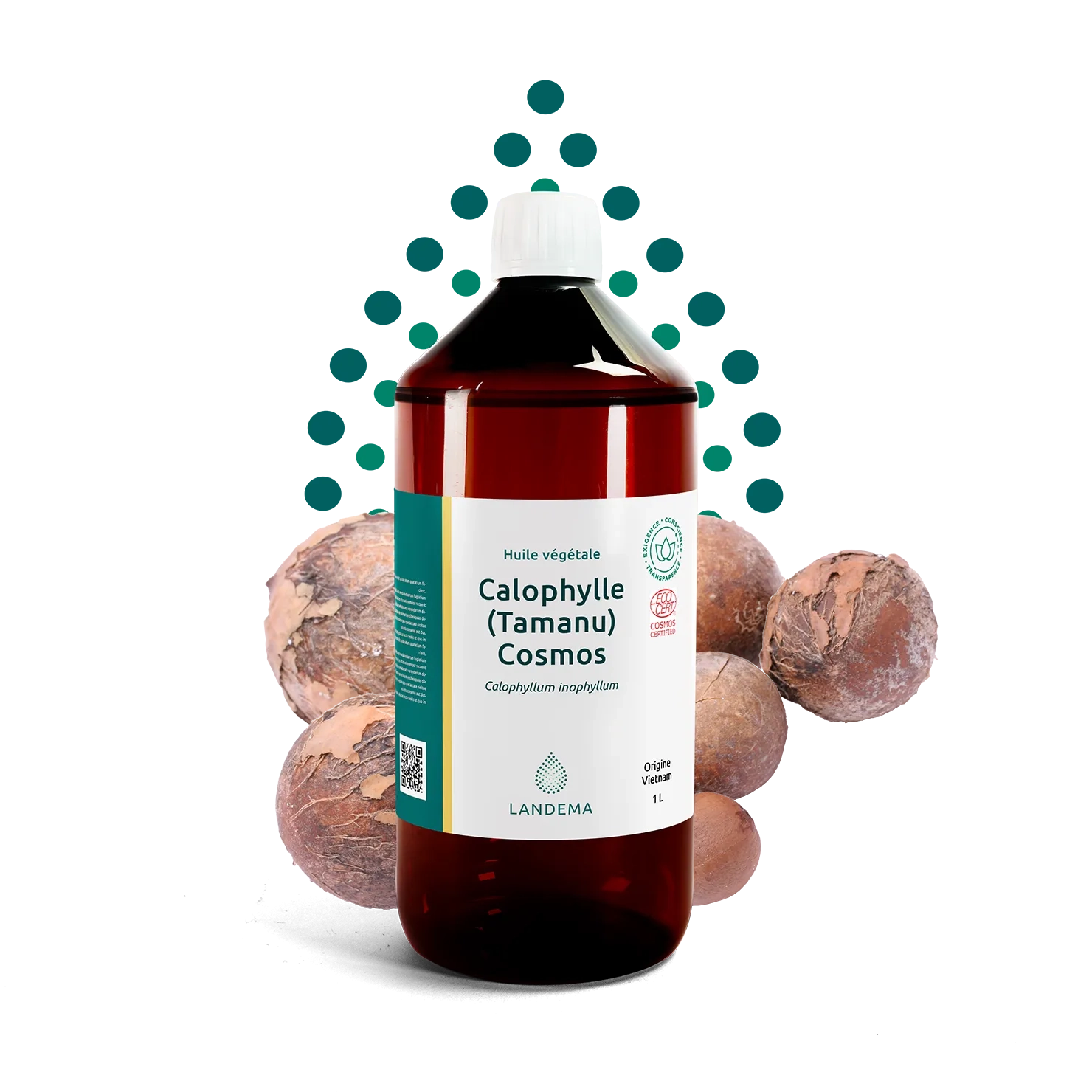 Calophylle (Tamanu) BIO COS