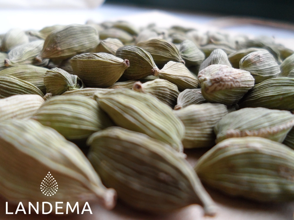 Cardamon Seed