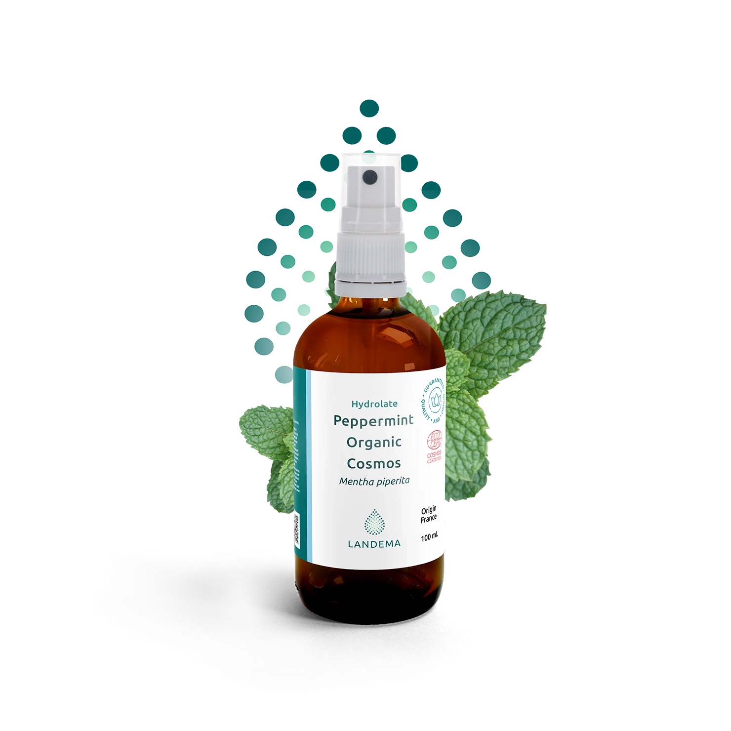 Peppermint Organic COSMOS