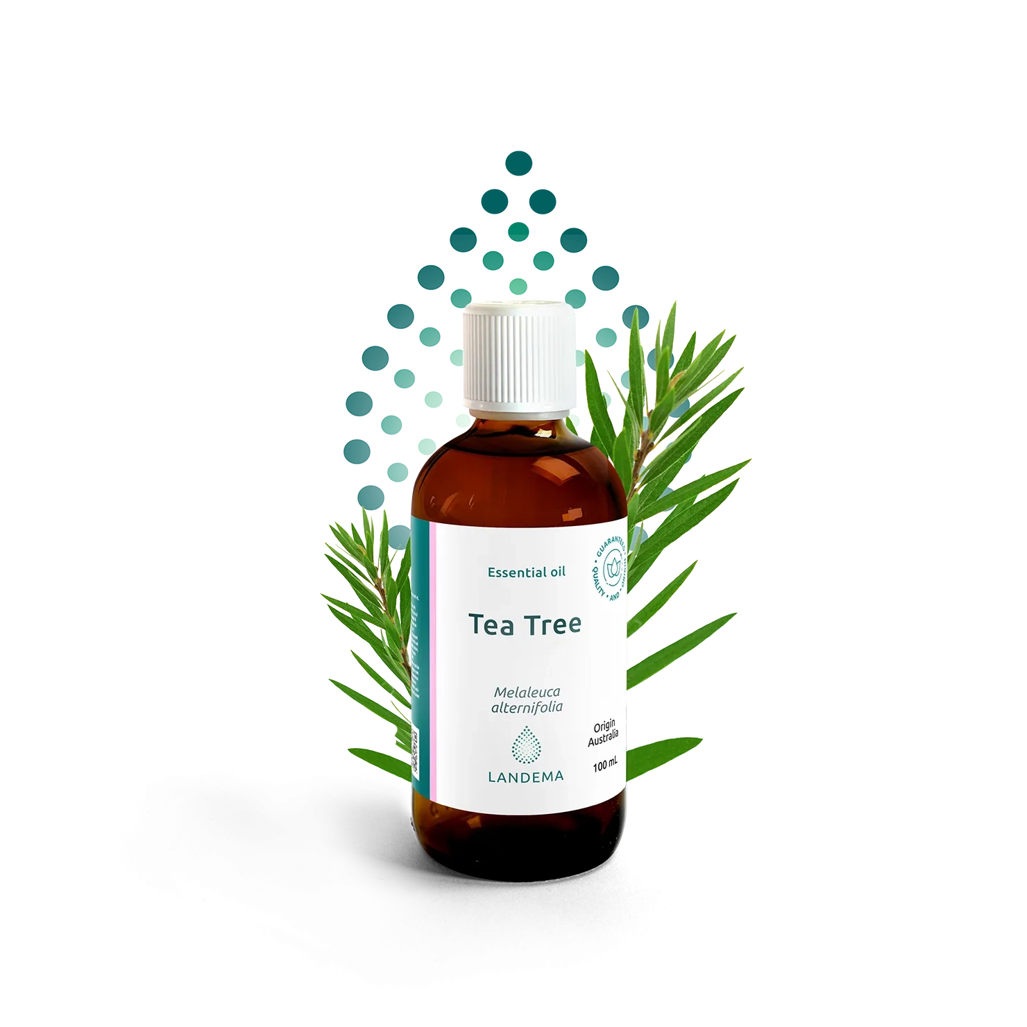 Tea tree