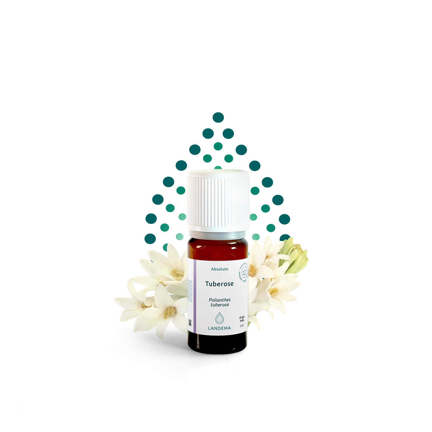 Tuberose