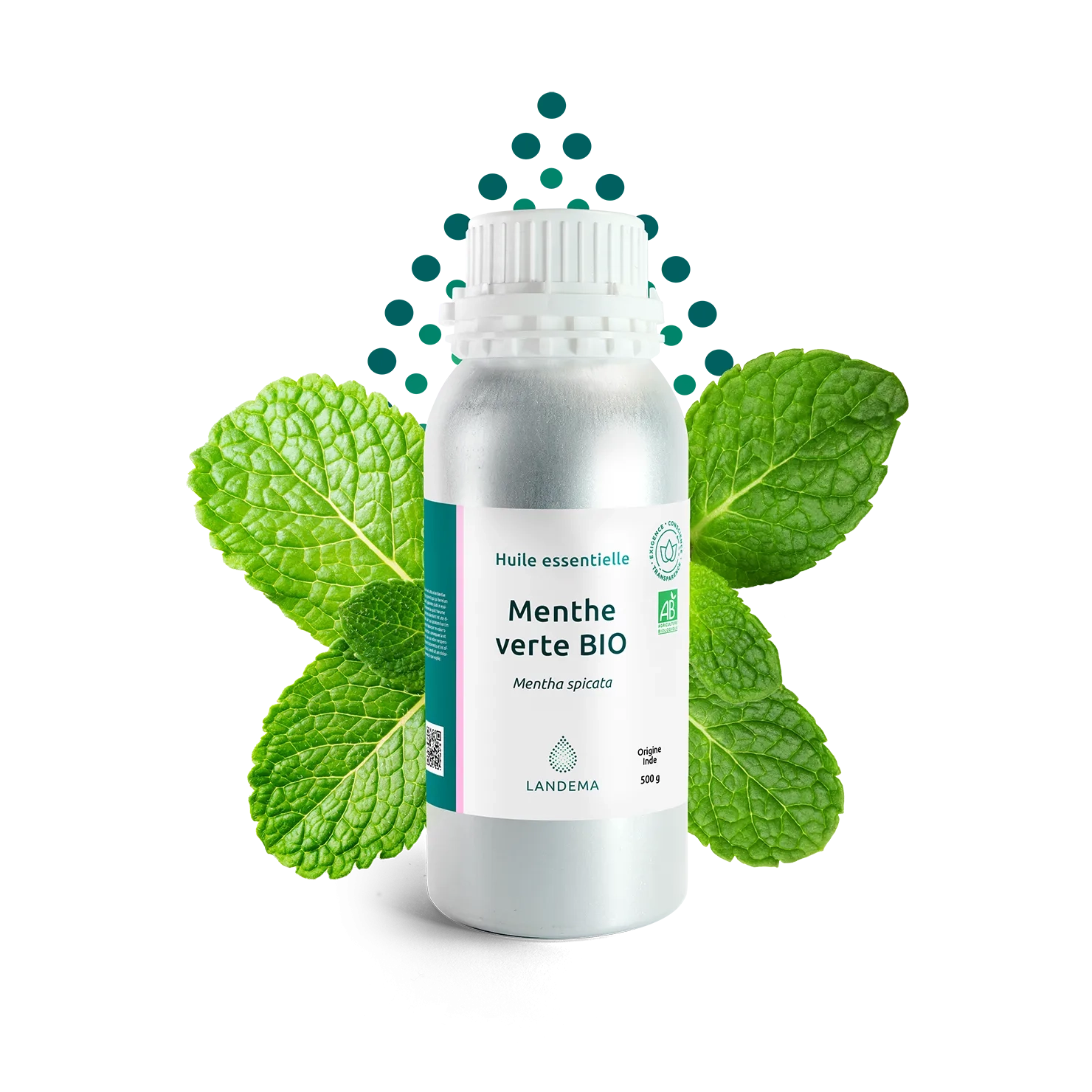 Menthe verte BIO