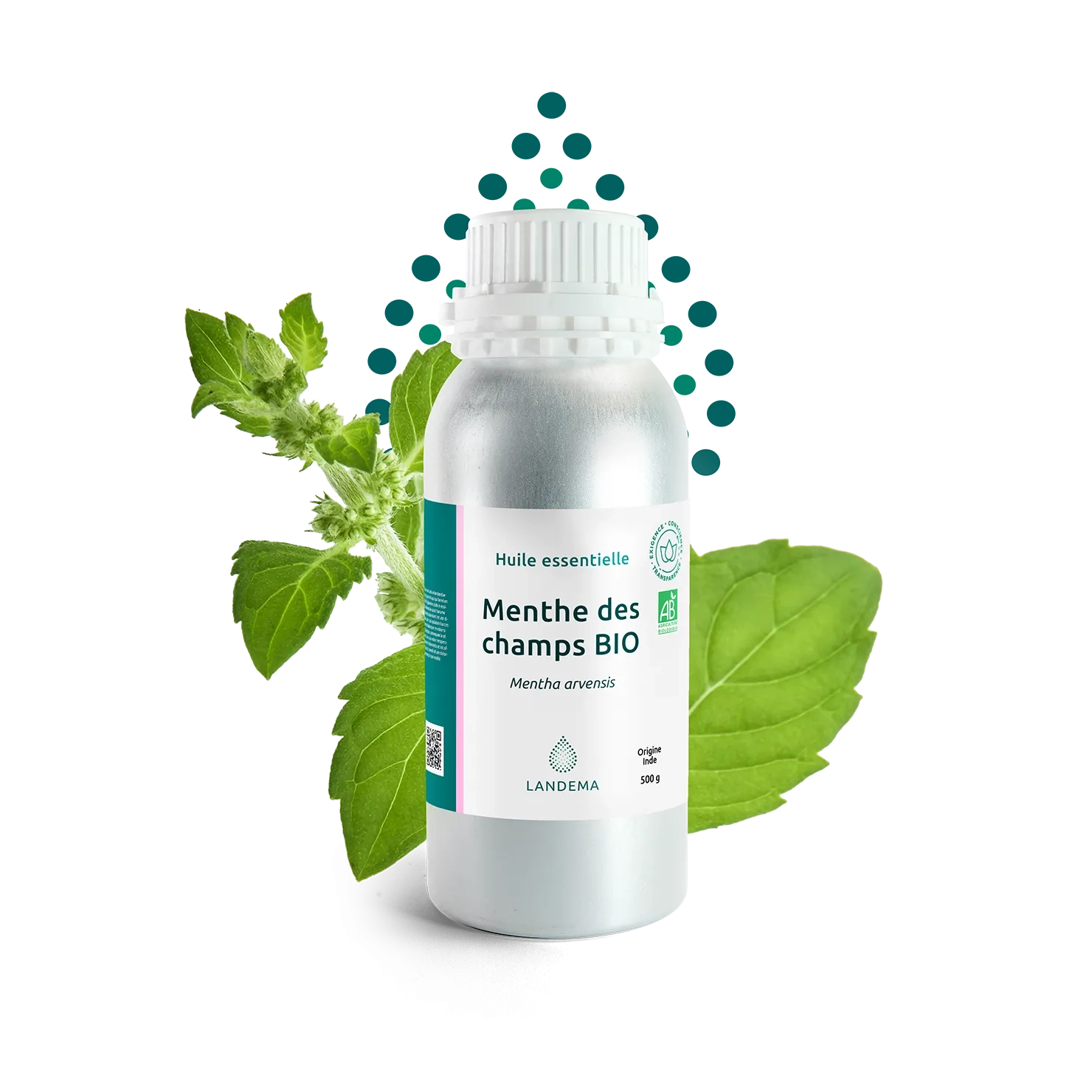 Cornmint ORG