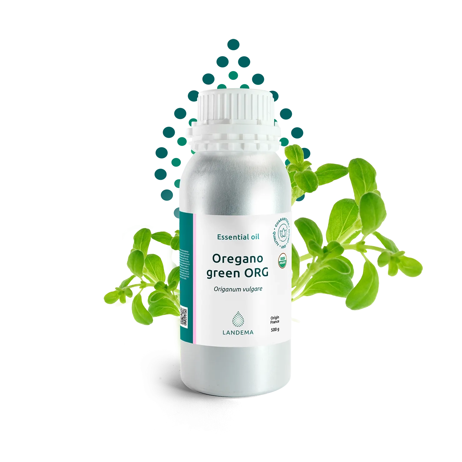 Oregano green ORG