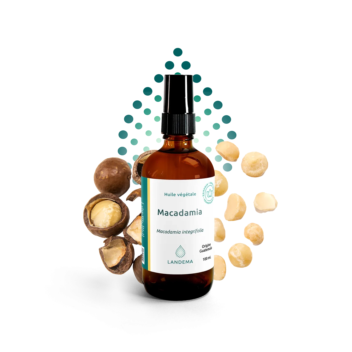 Macadamia