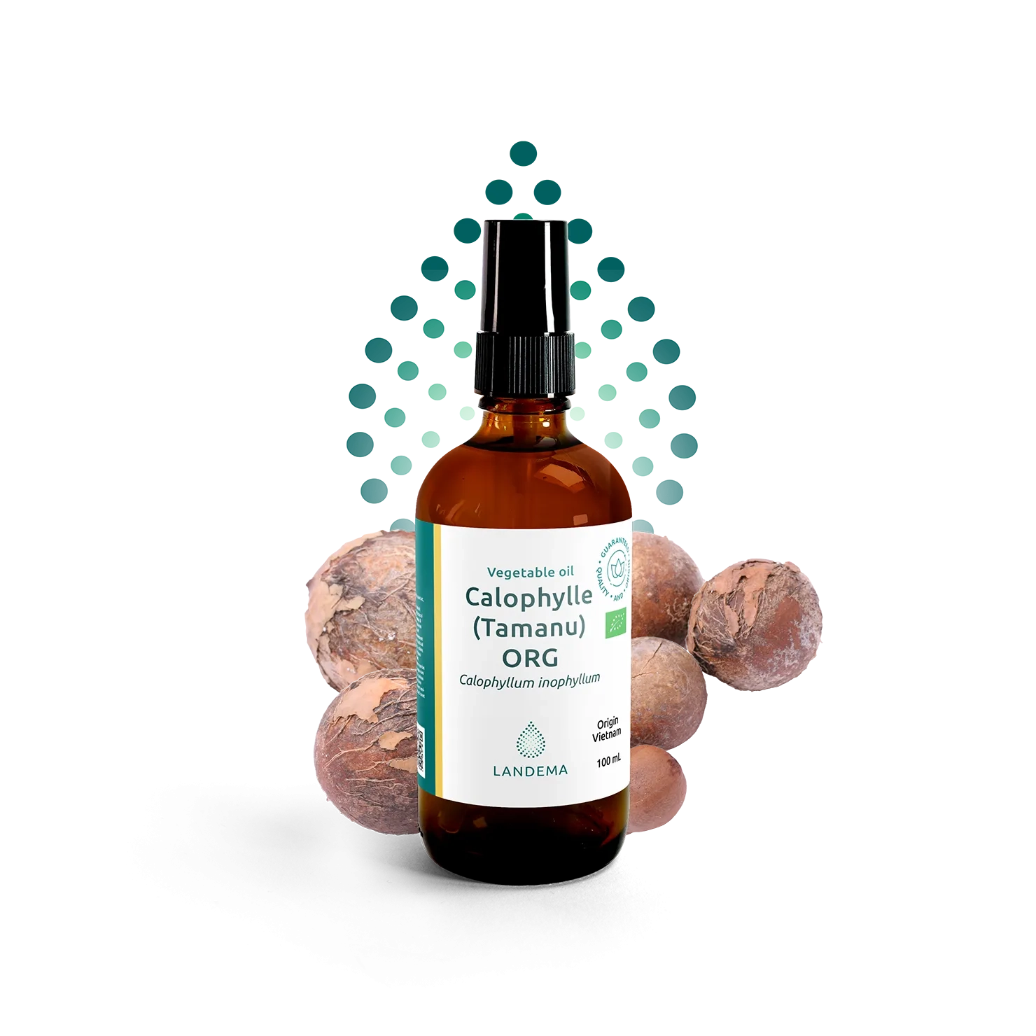Tamanu (Callophyla)Organic COS