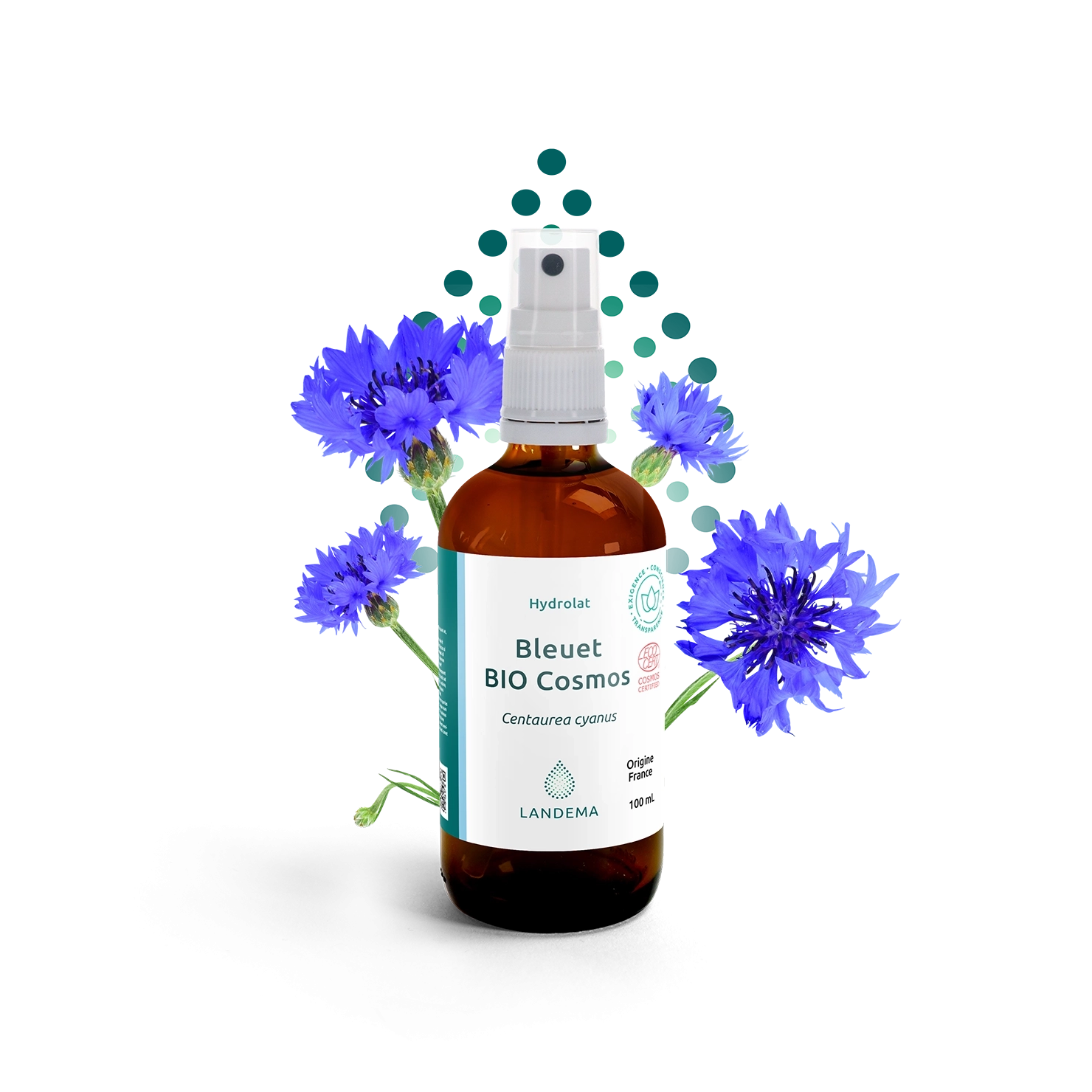 Bleuet COSMOS