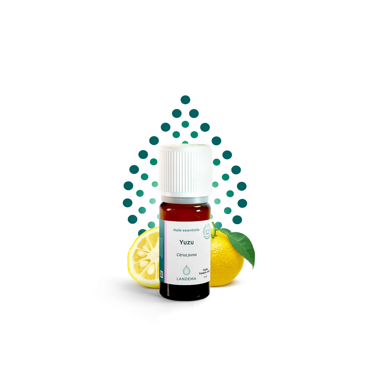 Yuzu