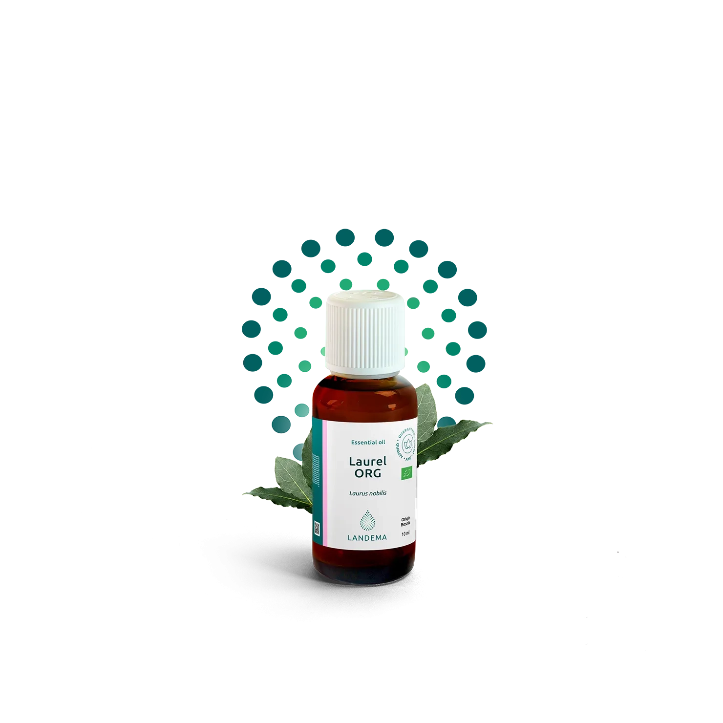 Laurel ORG
