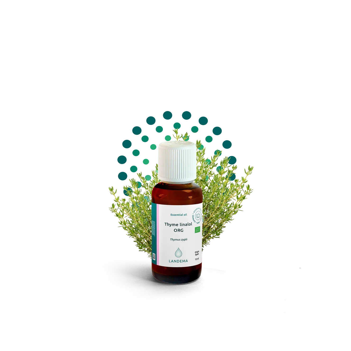 Thyme linalol ORG