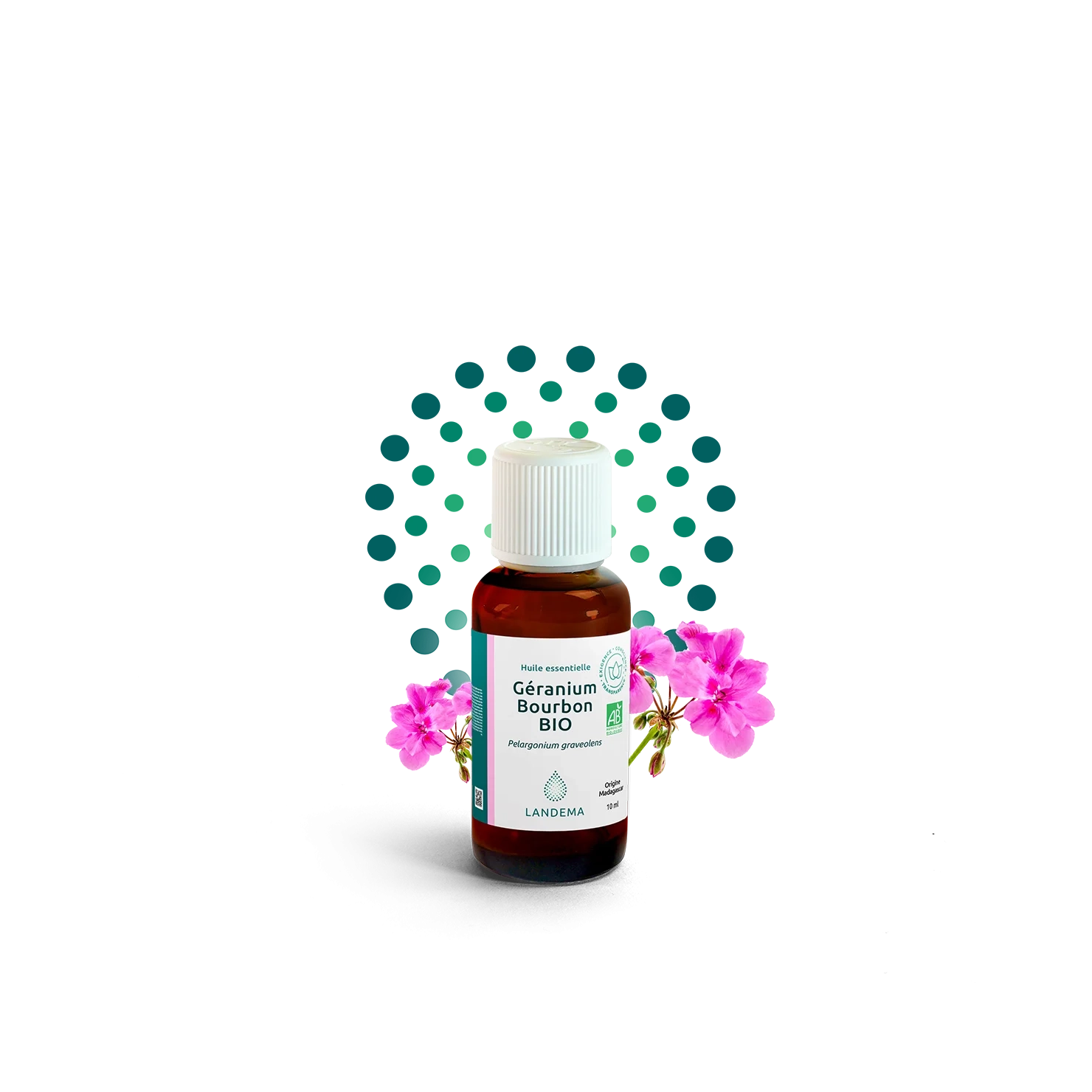 Géranium Bourbon BIO FFL