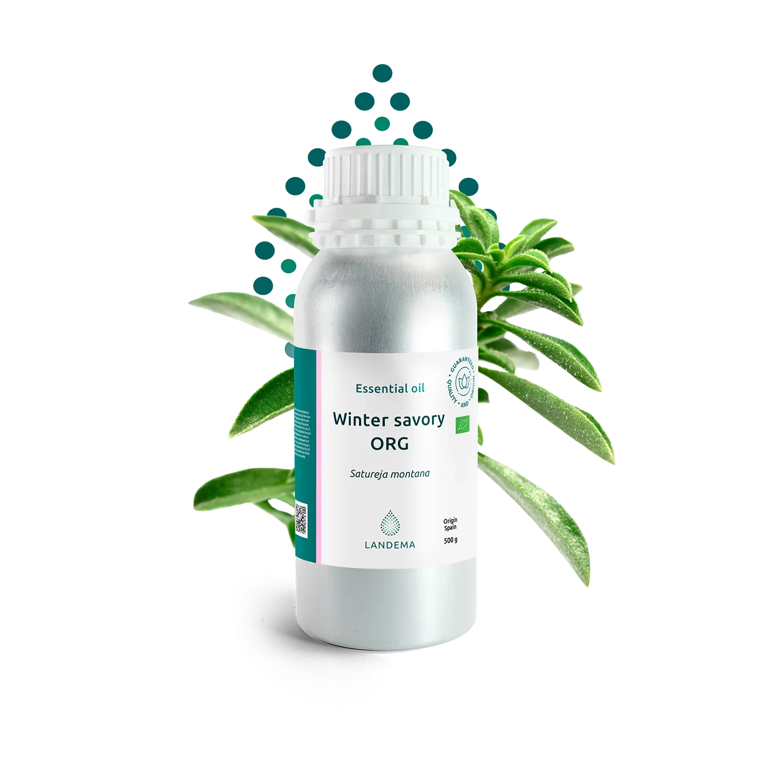 Winter savory ORG