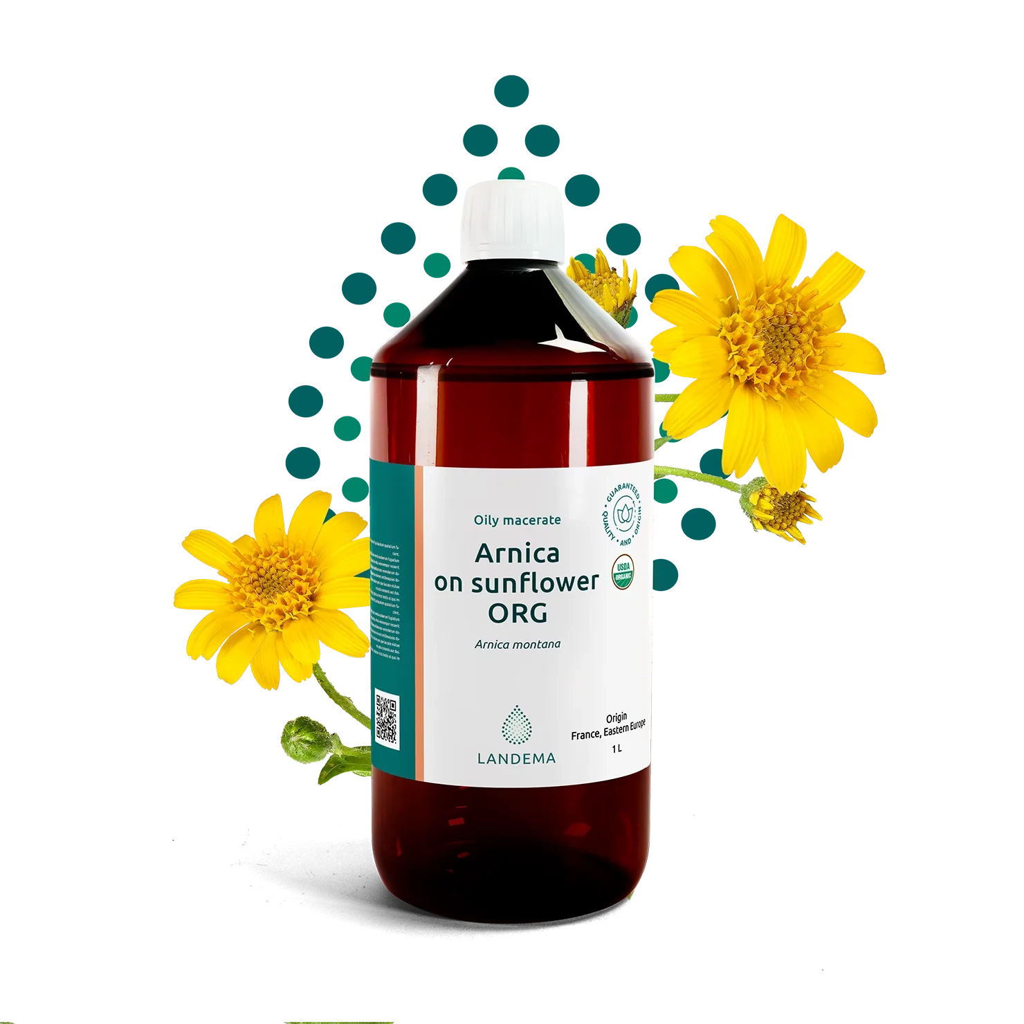 Arnica on sunflower ORG