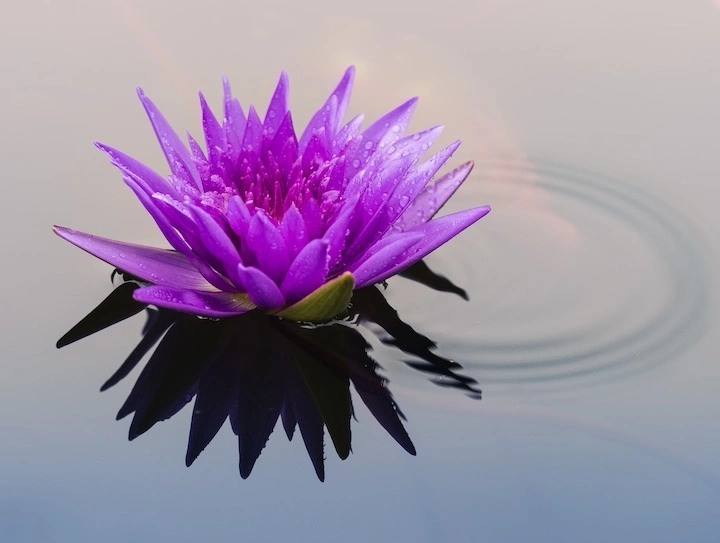 Energetic aromatherapy