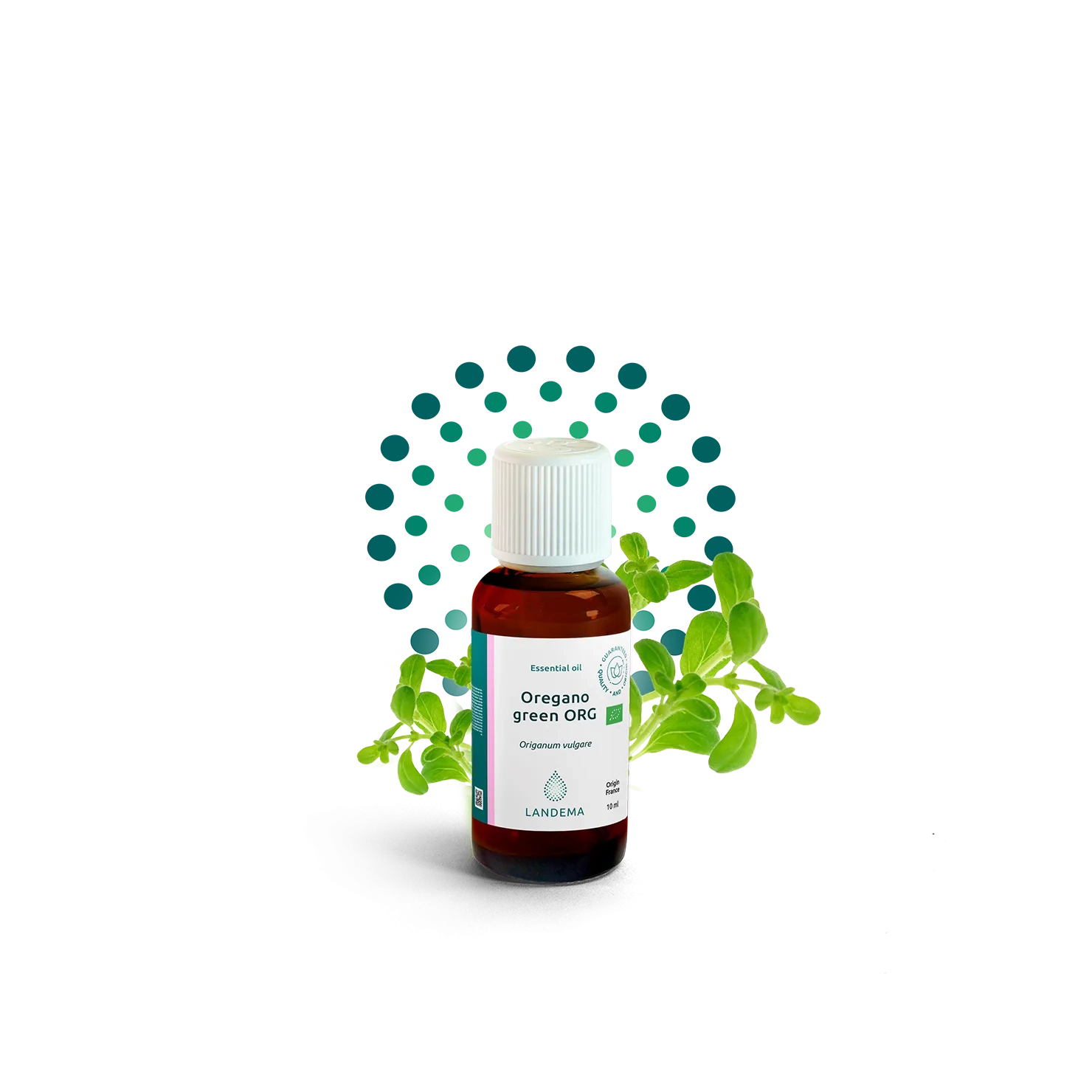 Oregano green ORG