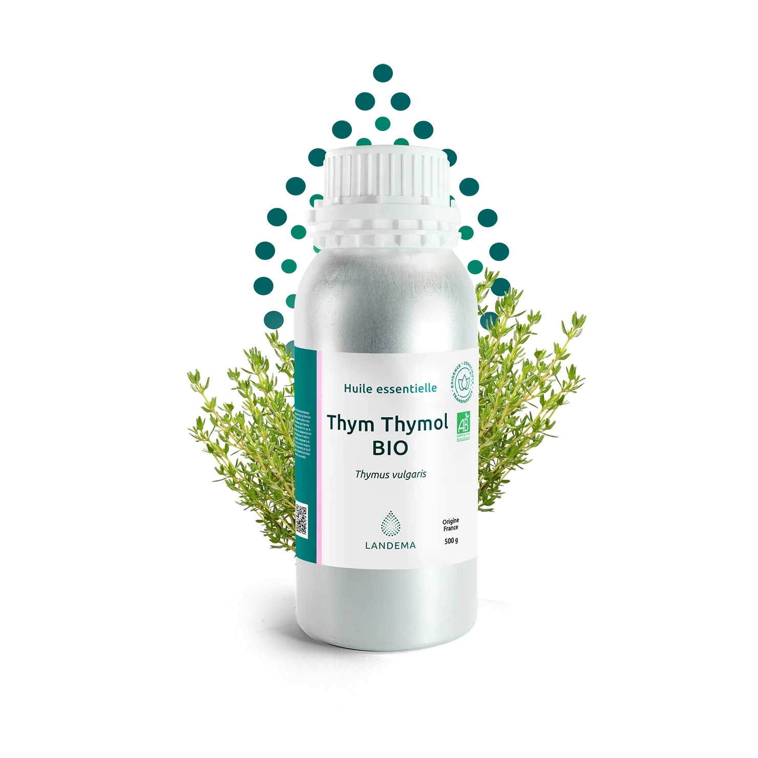 Thyme thymol ORG