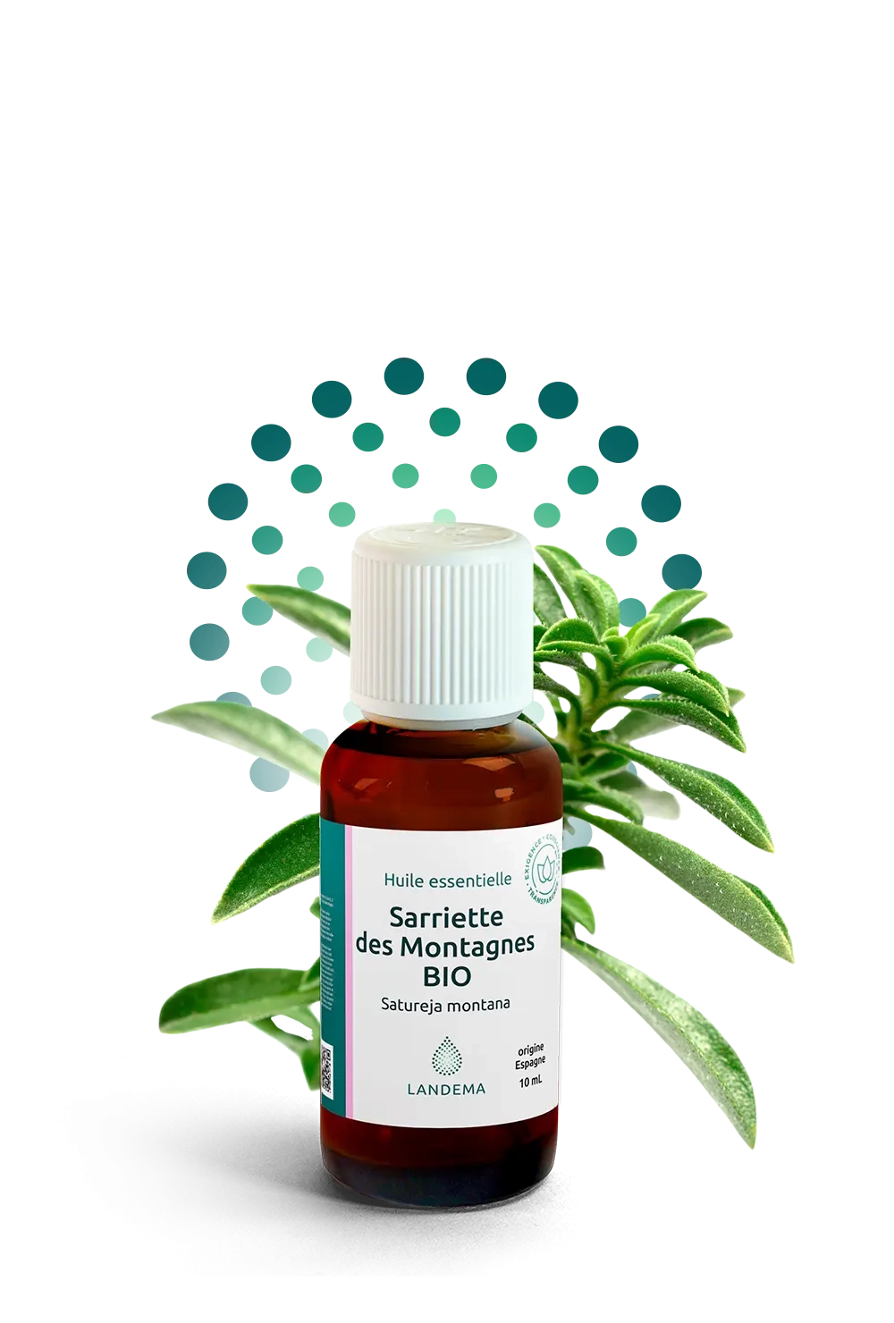 Sarriette des Montagnes BIO