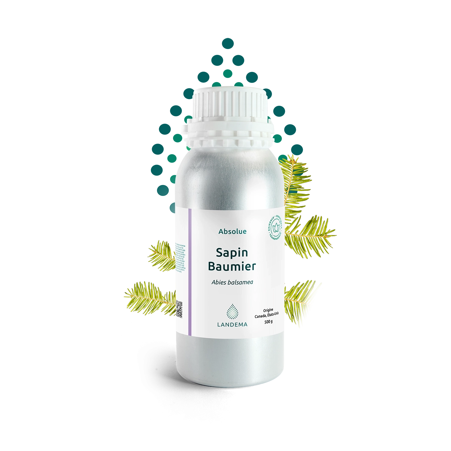 Sapin Baumier