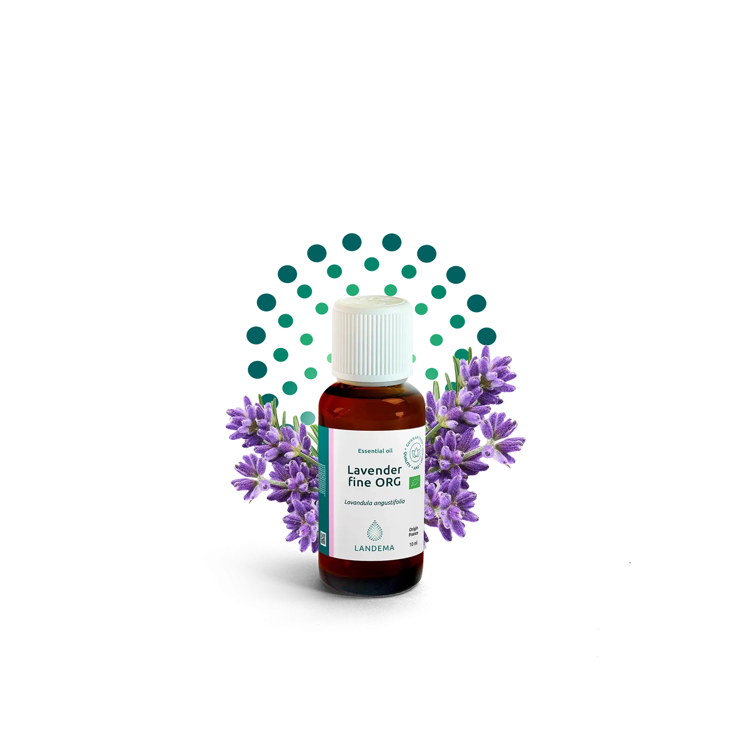 Lavender fine ORG