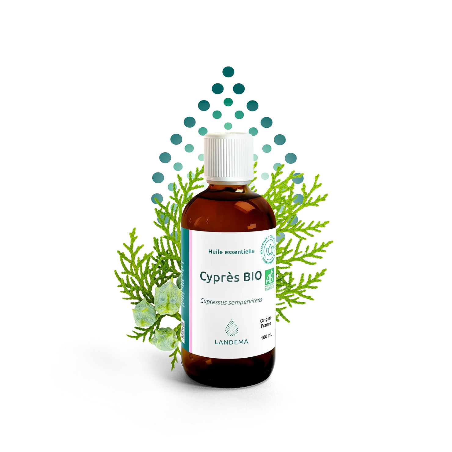 Cyprès BIO