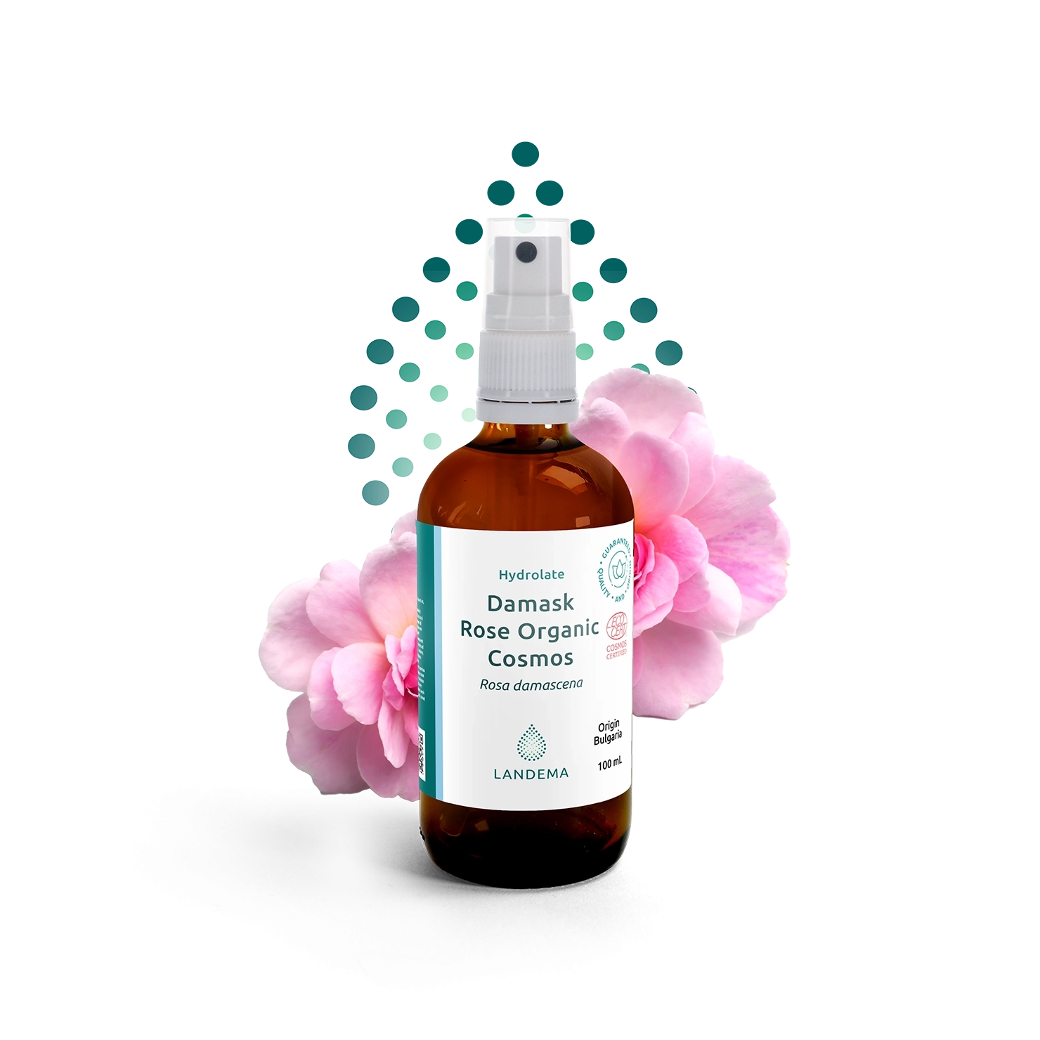 Damask Rose Organic COSMOS