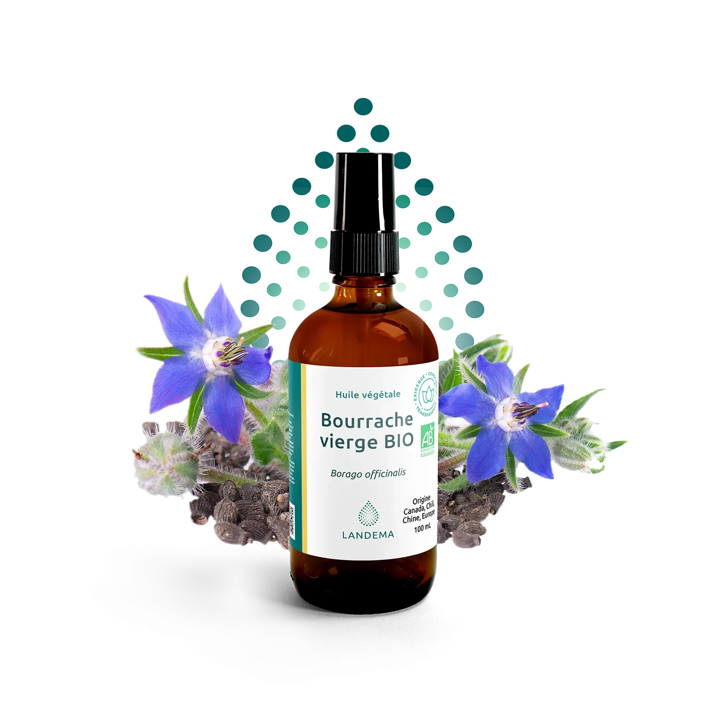 Bourrache vierge BIO