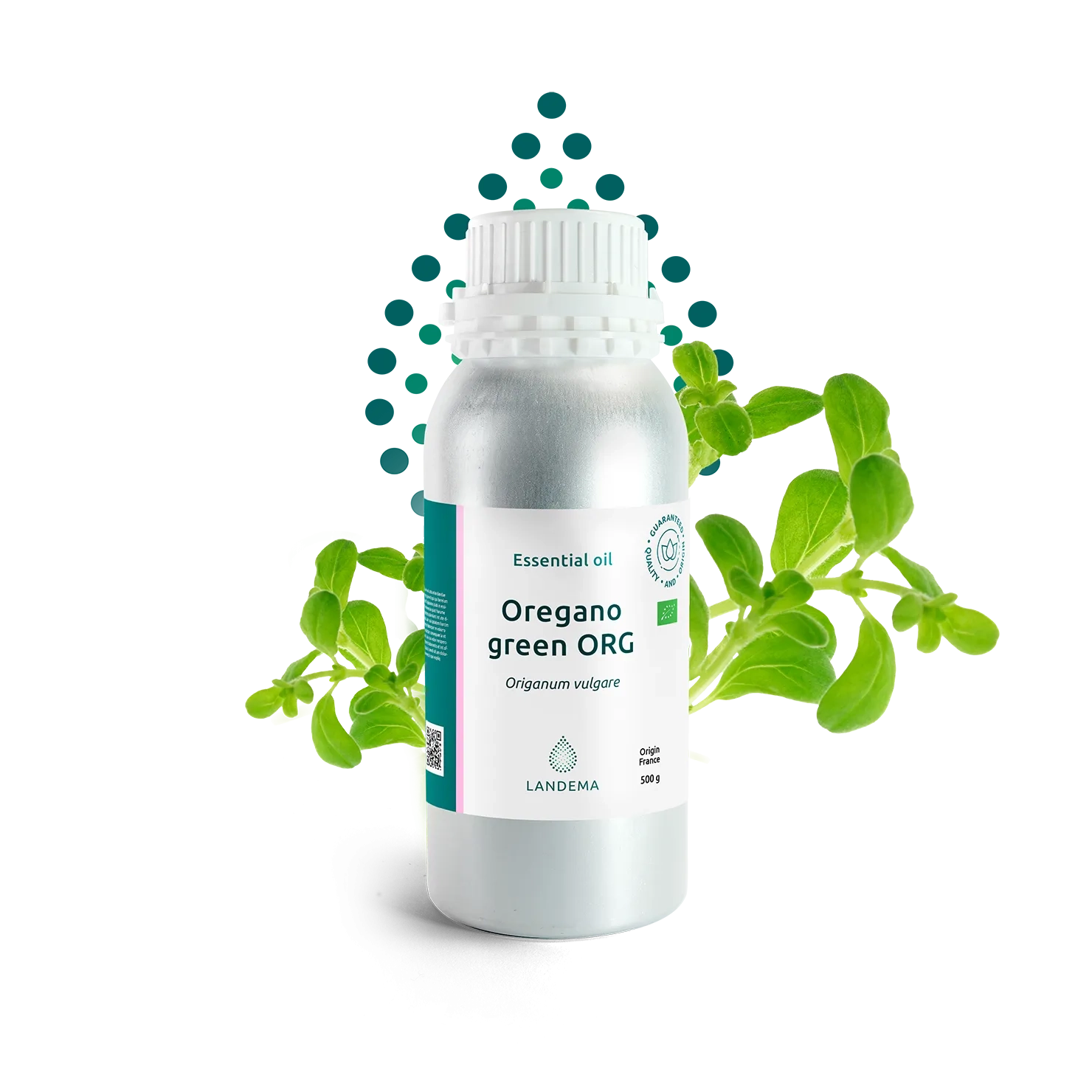Oregano green ORG